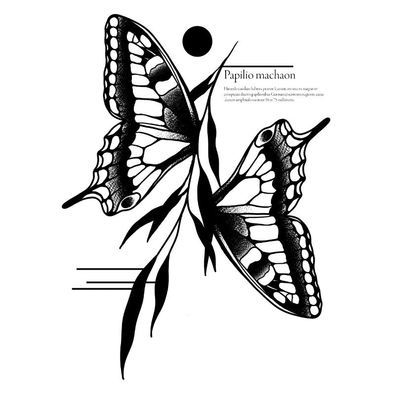 Papillon à queue d’aronde