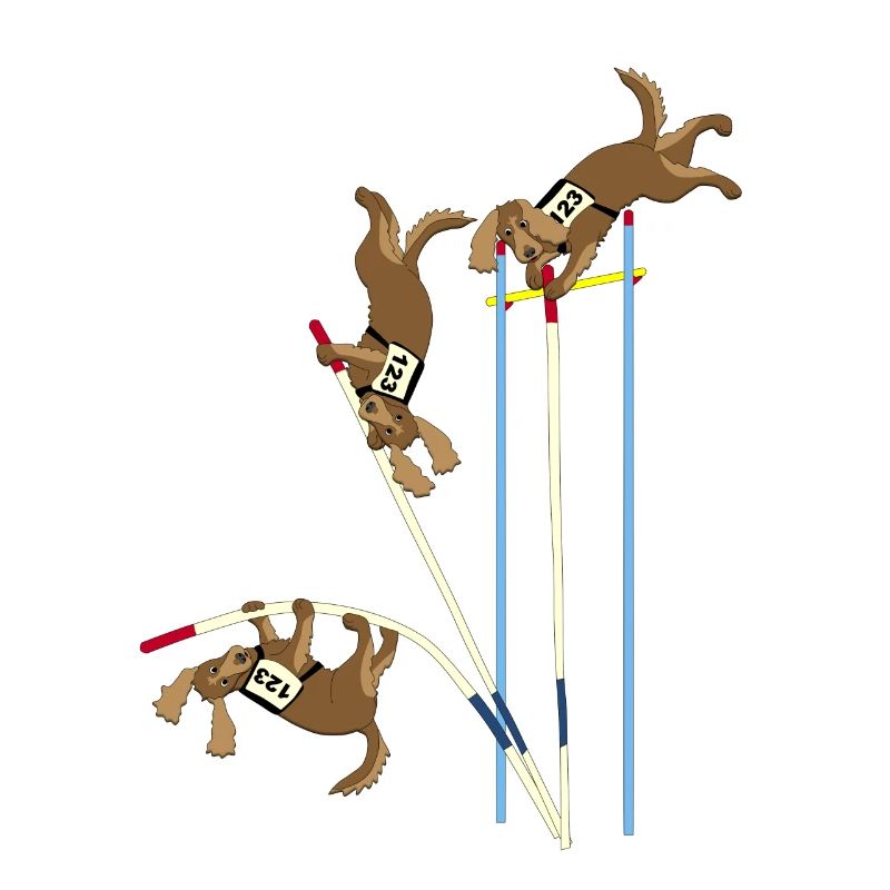 Saut à la perche