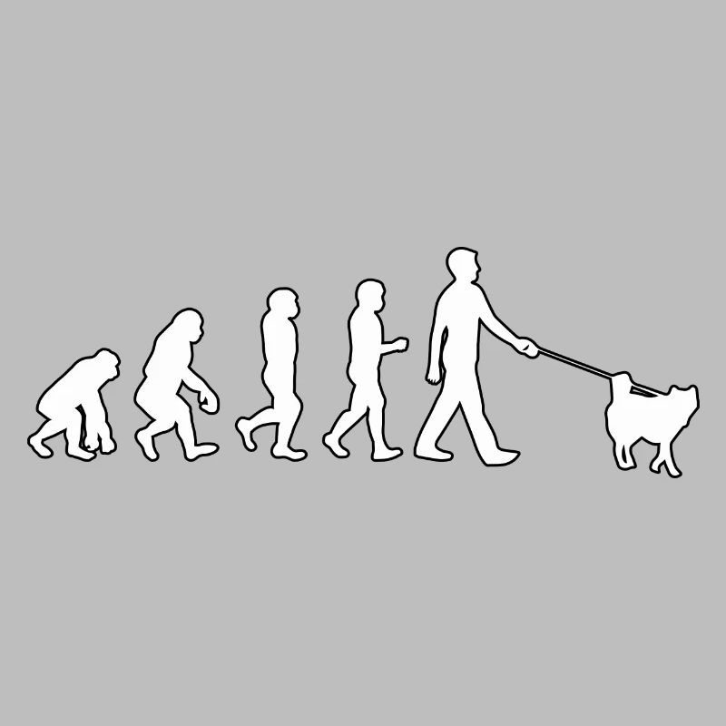 Husky Evolution