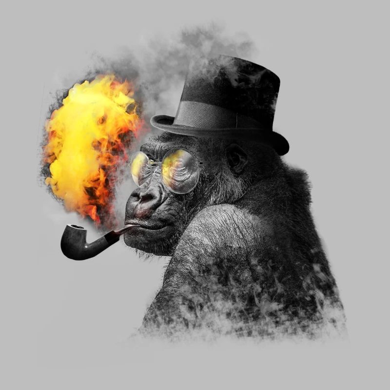 Smoking monkey