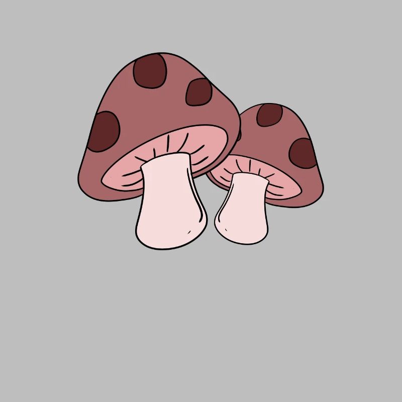Champignons cueillette champignons