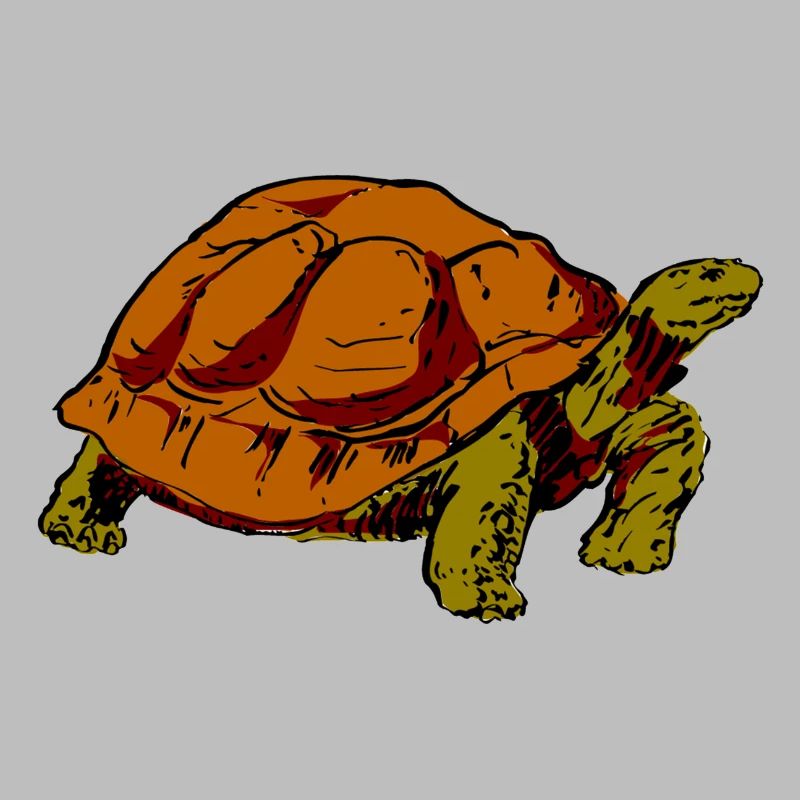 turtle