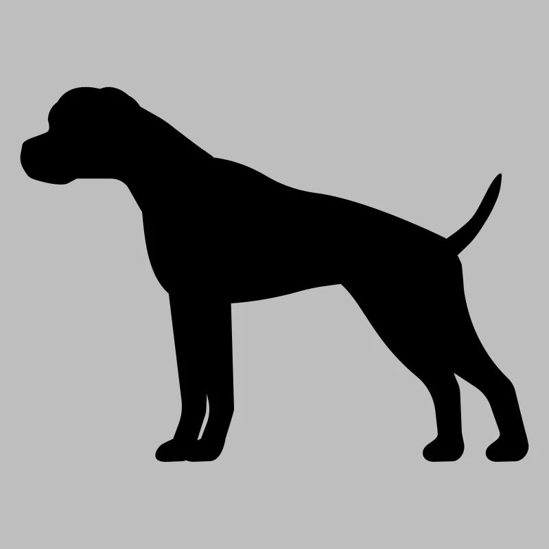 boxer
