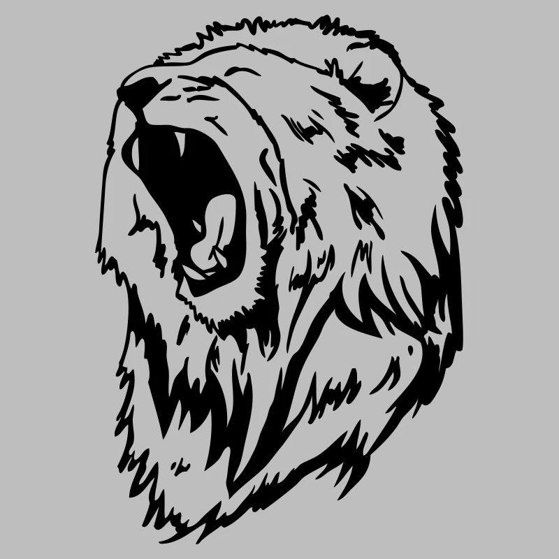 a lion's head