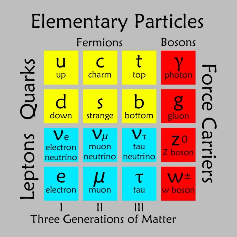 Elementary Particles