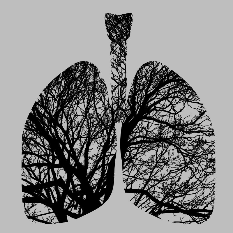 Lungs