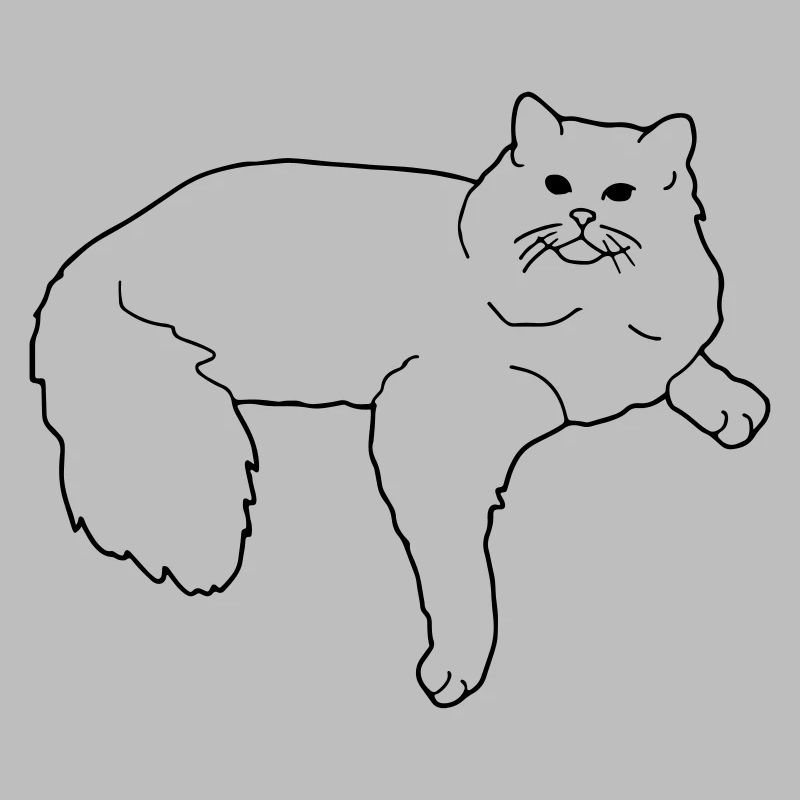 ragdoll
