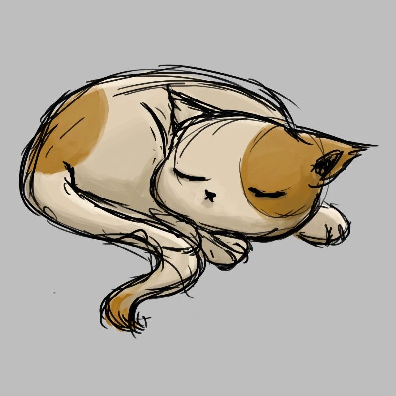 Sleeping cat stroke drawing