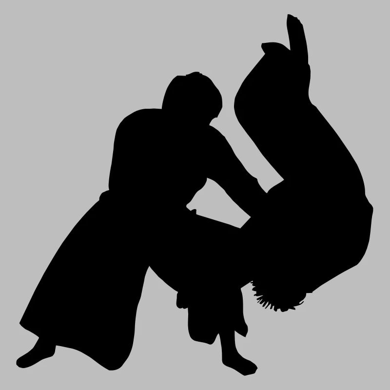 Aikido throw