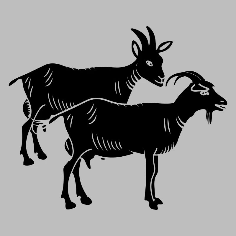 Image de deux ombres de chèvre