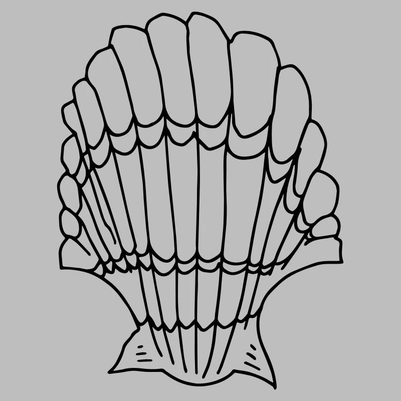 coquille