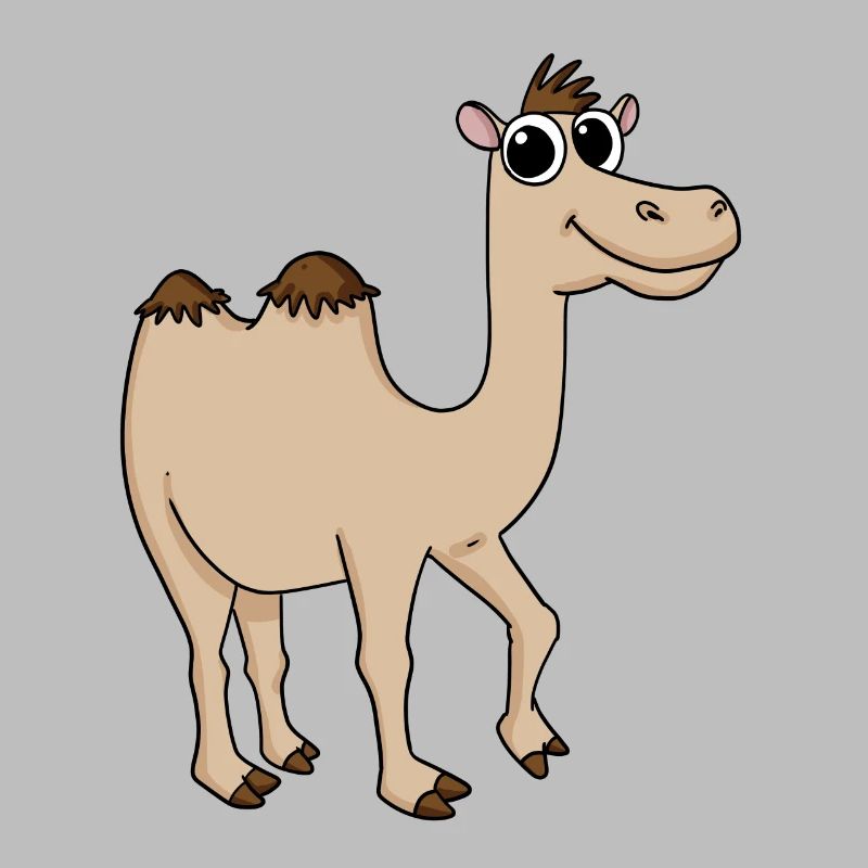 Cute camel