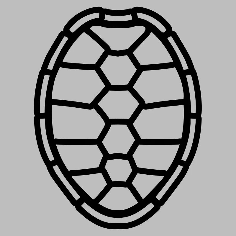 modèle de conception de coquille de tortue de band