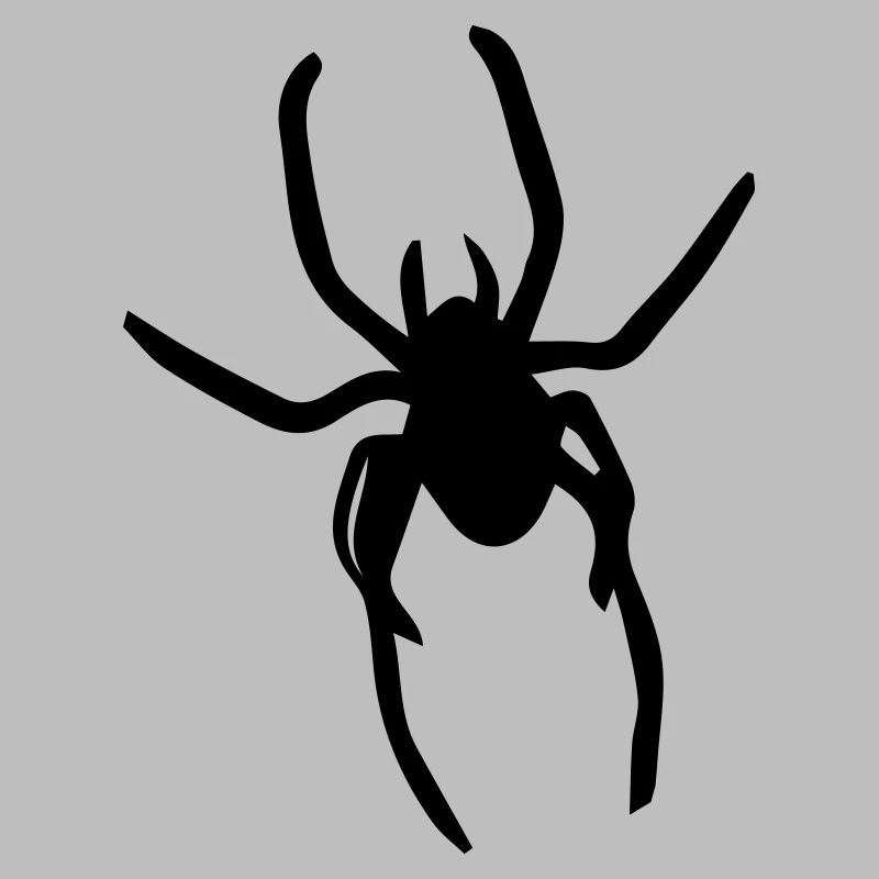 spider