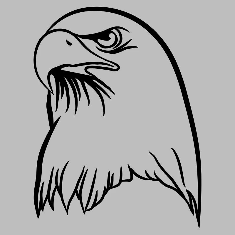 Eagle freedom