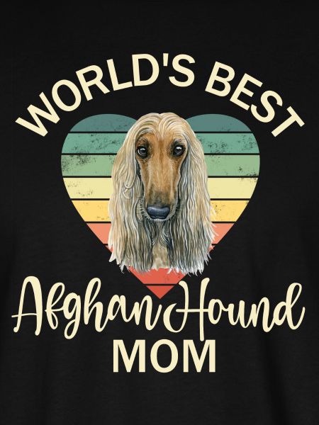 Afghanischer Windhund Afghane