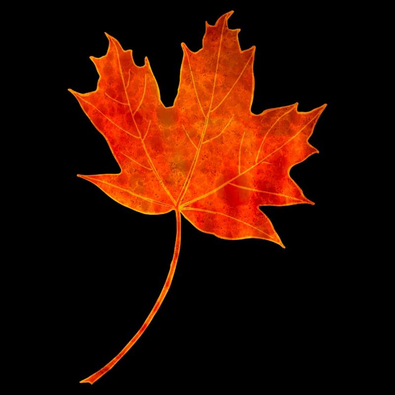 Maple leaf