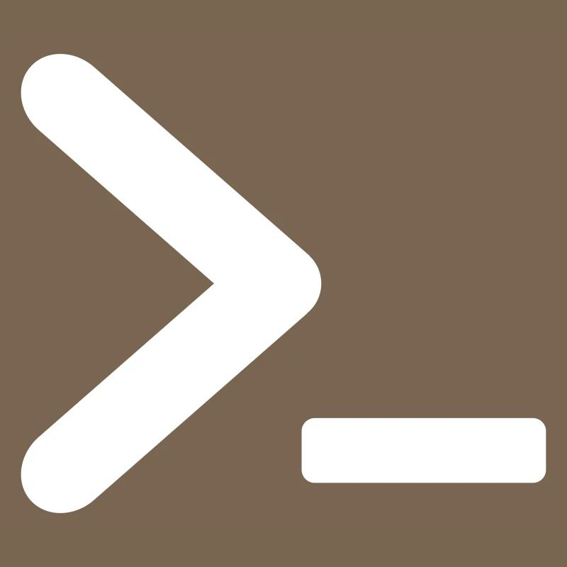 >_ OS program prompt