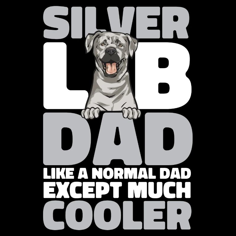 Silver Labrador Retriever Silver Lab