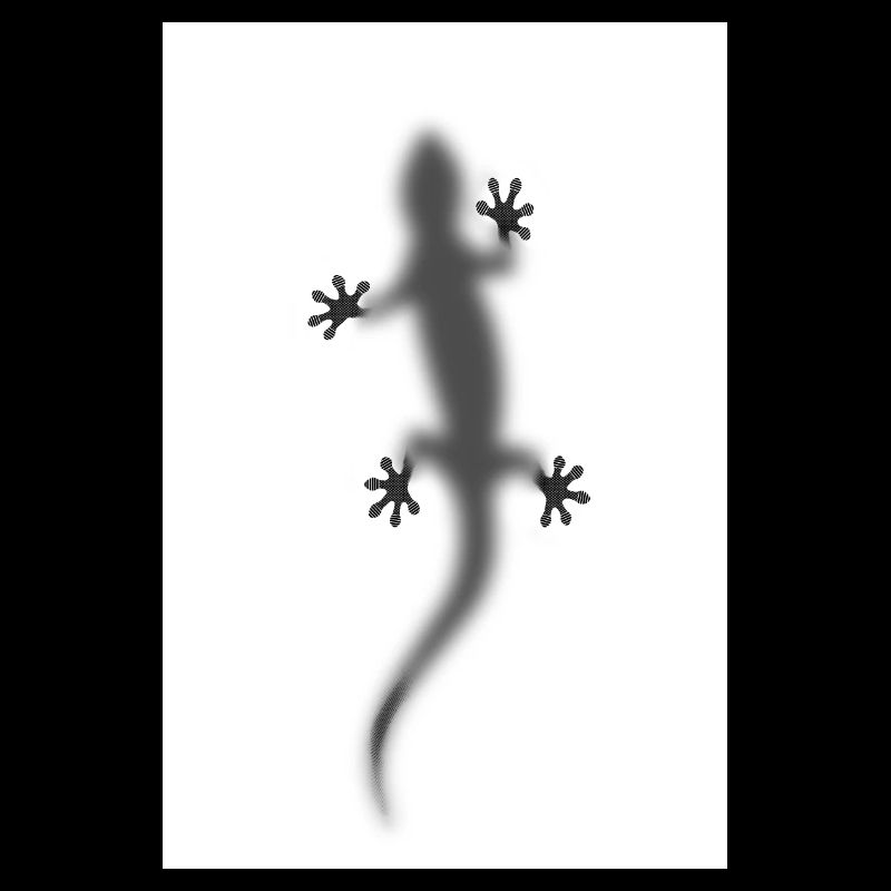 gecko
