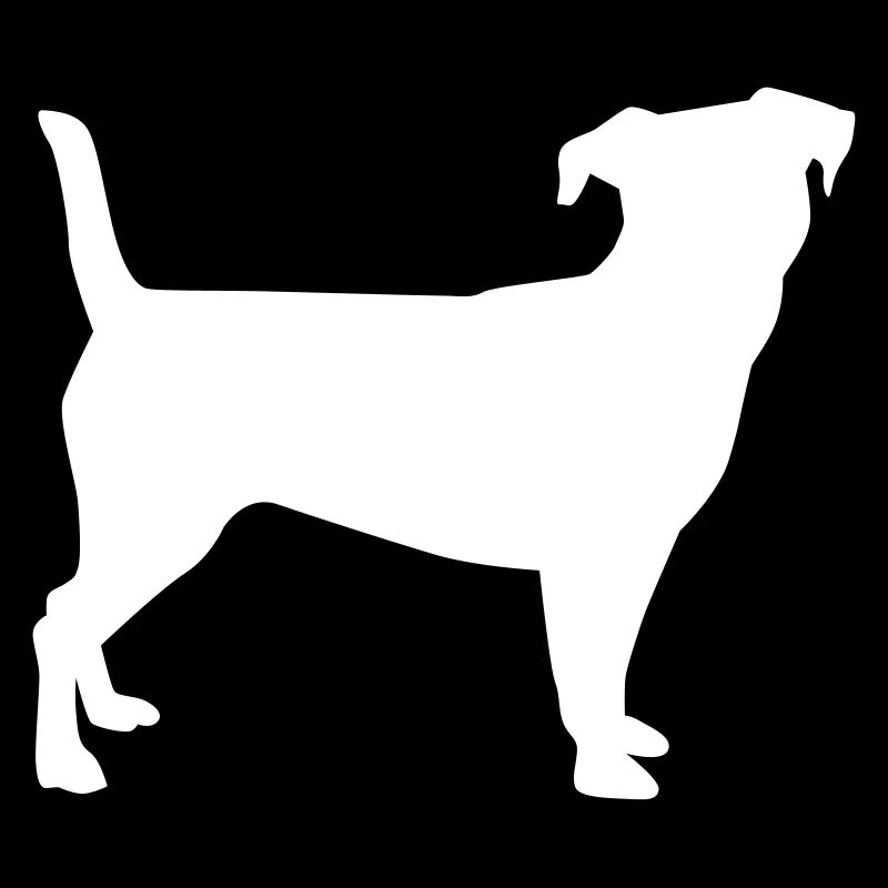 Jack Russel