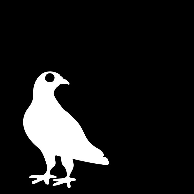 colombe