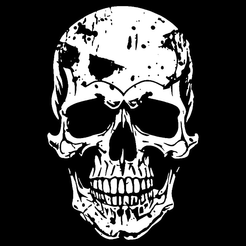 Skull