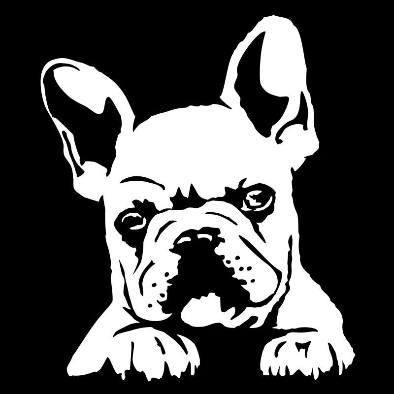 dog2