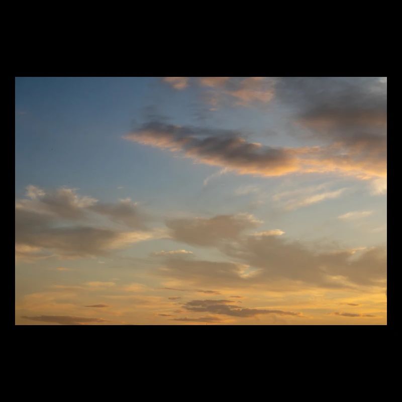 Under morning sky