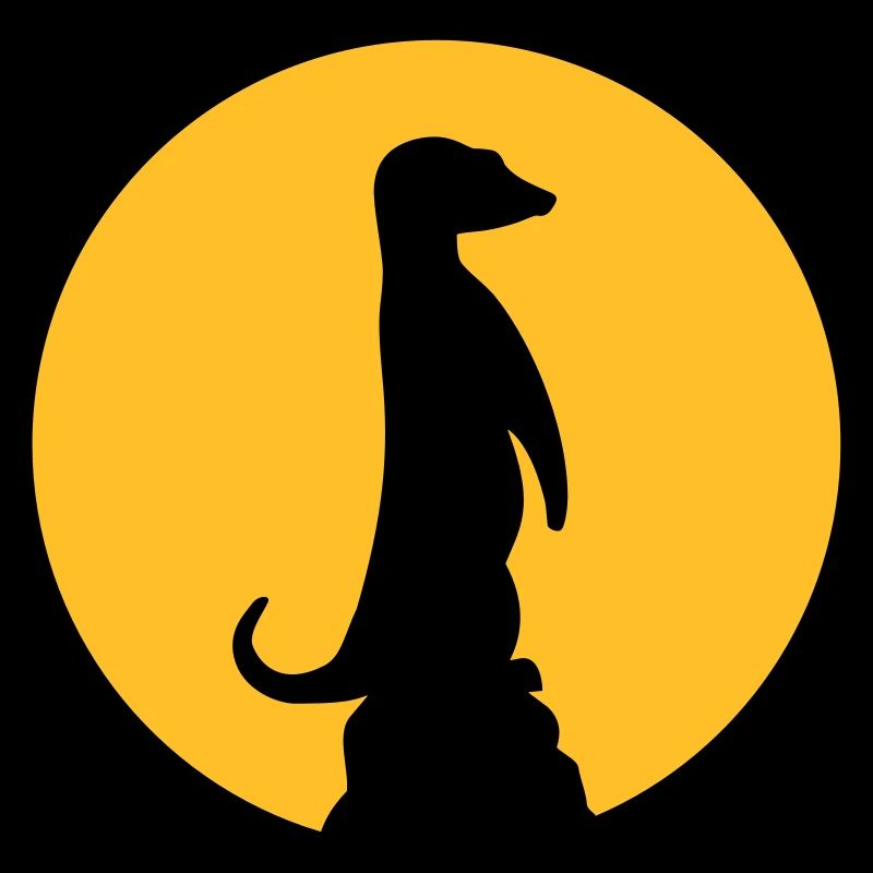 Meerkat