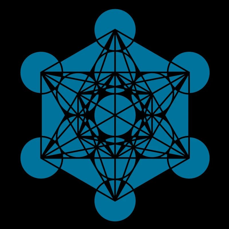 Metatrons Cube - Vector - Platonic Solids /
