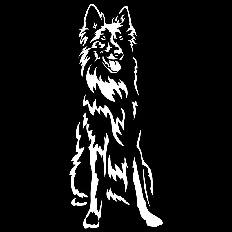 Groenendael "Black Edition"