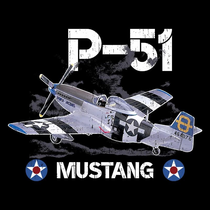 P 51 Avion de chasse Graphique