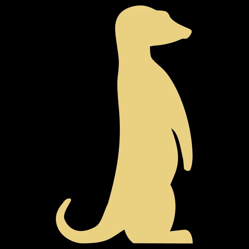 Meerkat