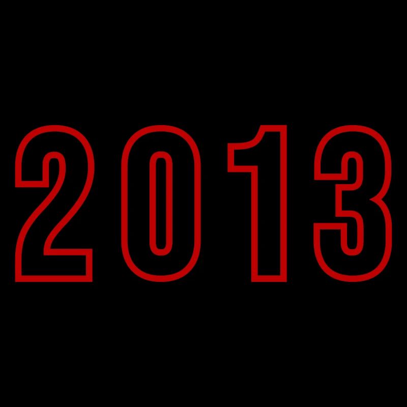 2013 Year Number