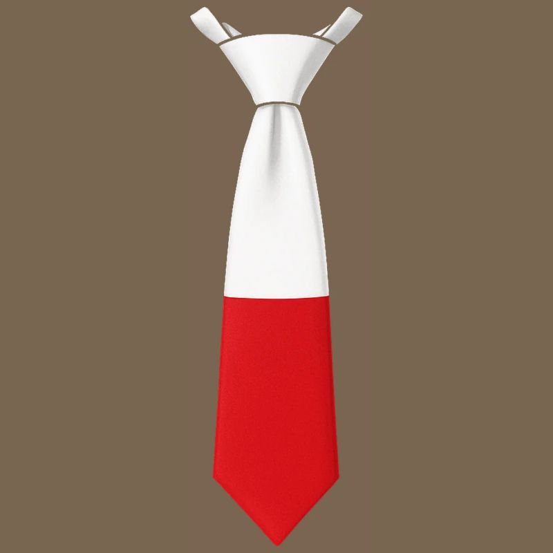 Cravate Pologne – Conception du drapeau