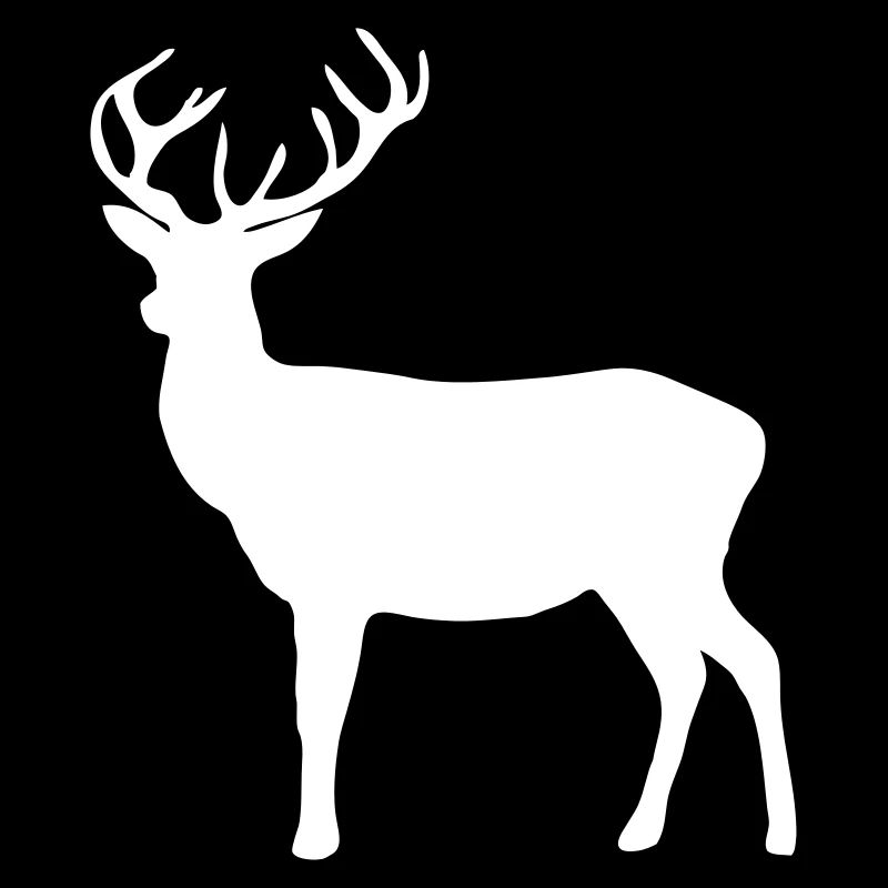 deer - antler - hunting - hunter