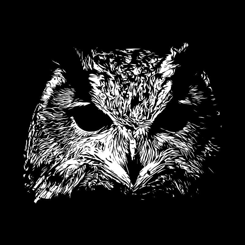 Hibou effrayant