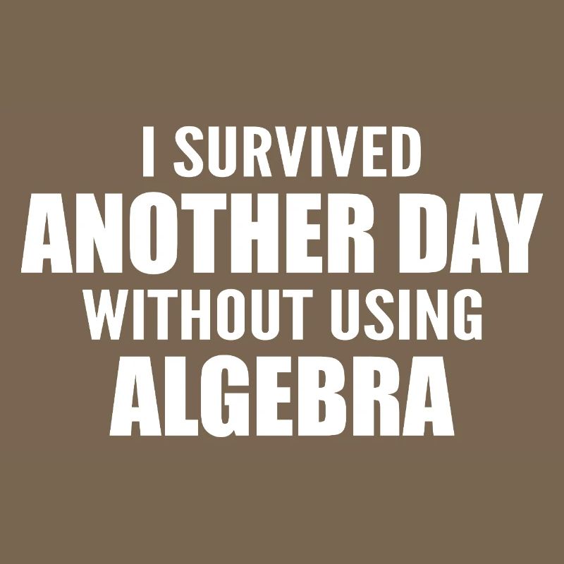 I survived without doing algebra today
