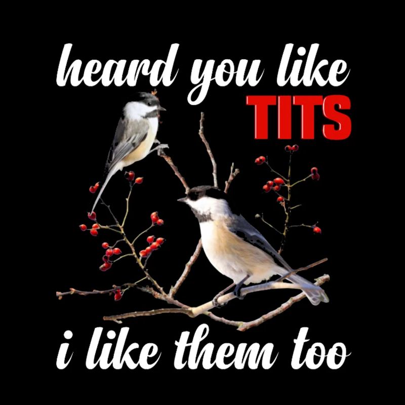 Chickadee Lover Stuffed Animal Birdwatcher Birder