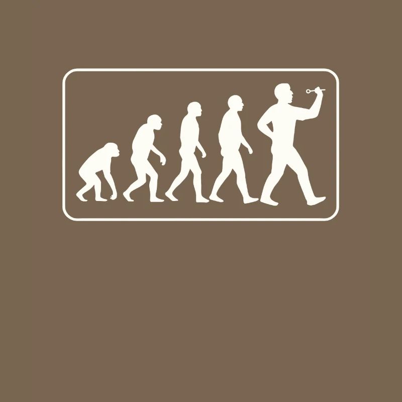 Fléchette Evolution