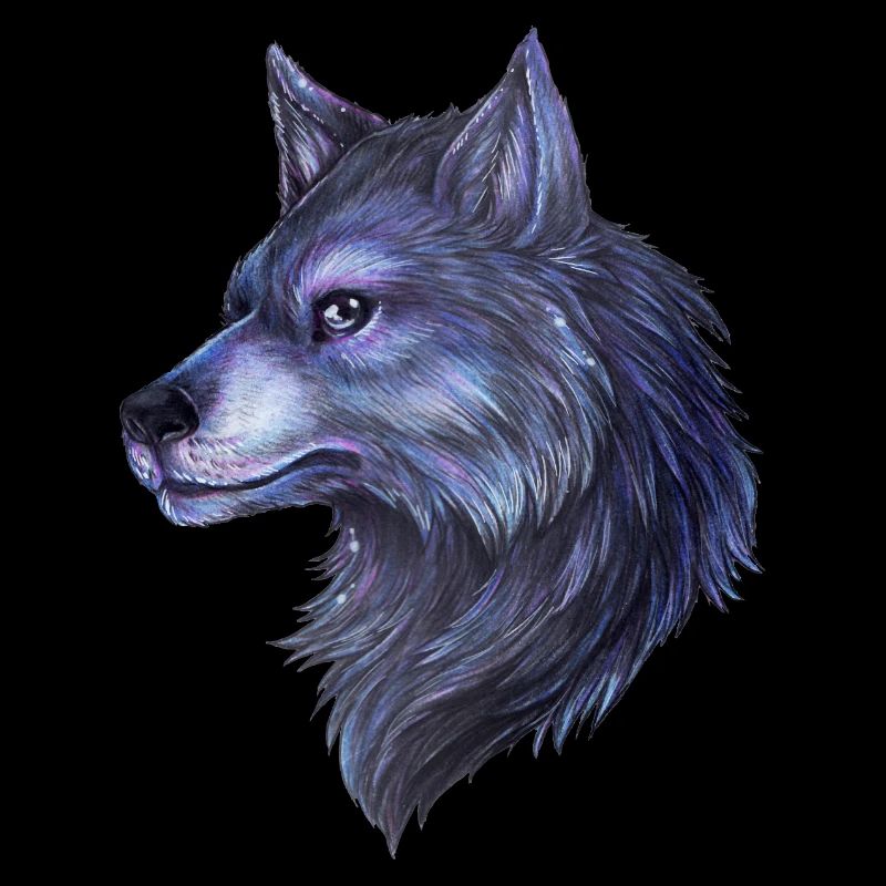 Mystical wolf hand drawn great night motif