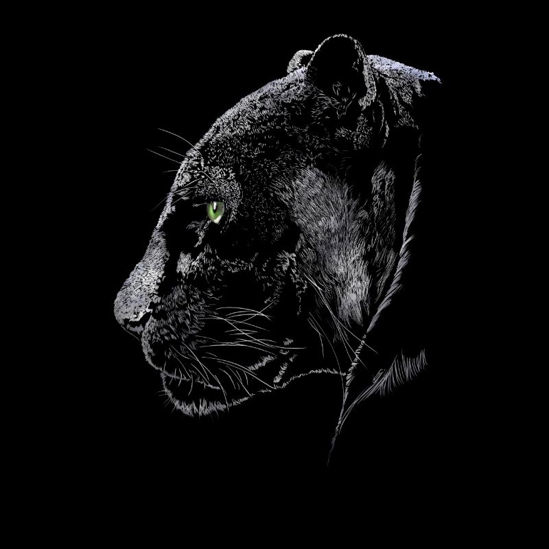 Panther