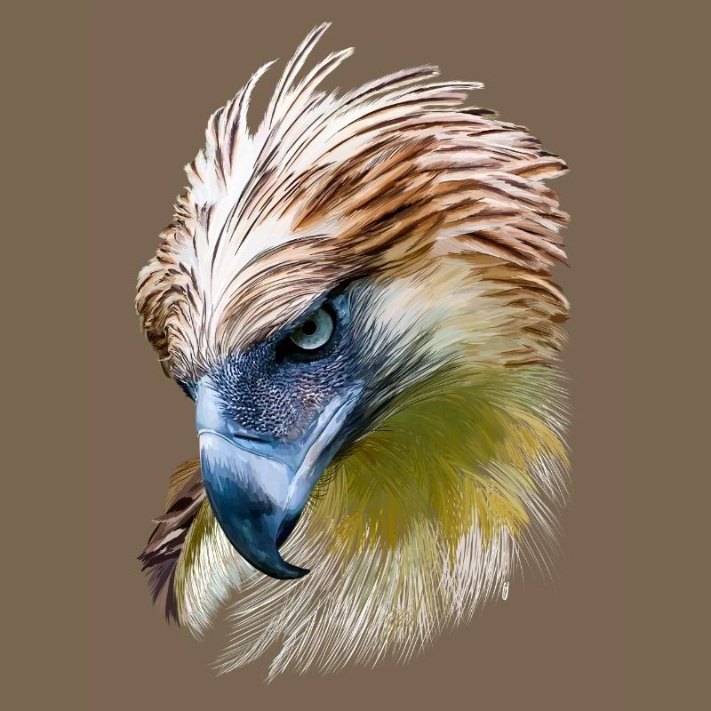 Eagle