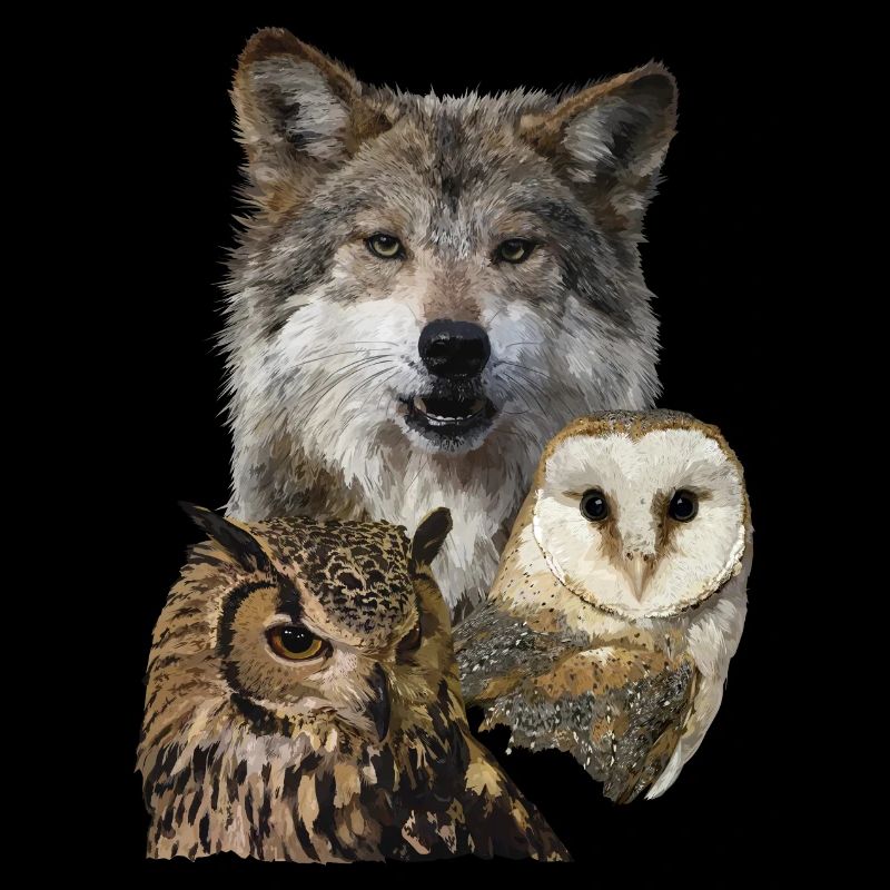 Loup et hiboux