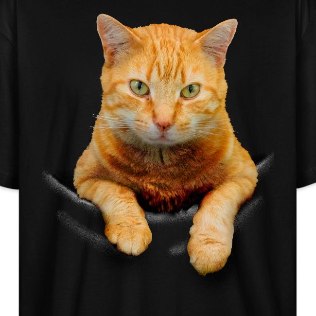 Katze, die aus einer Tasche kommt