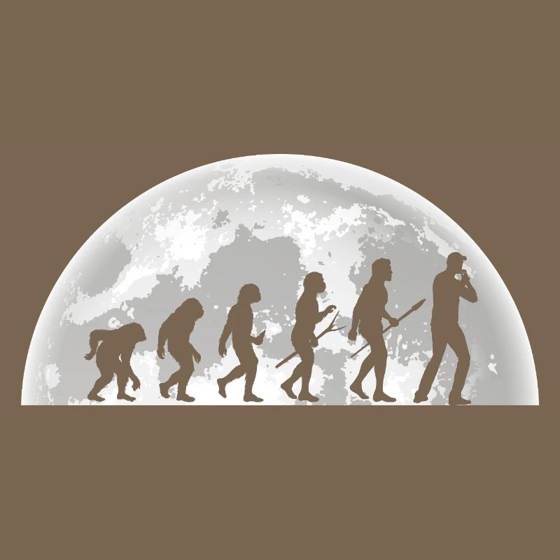 Harmonica Evolution Harmonica