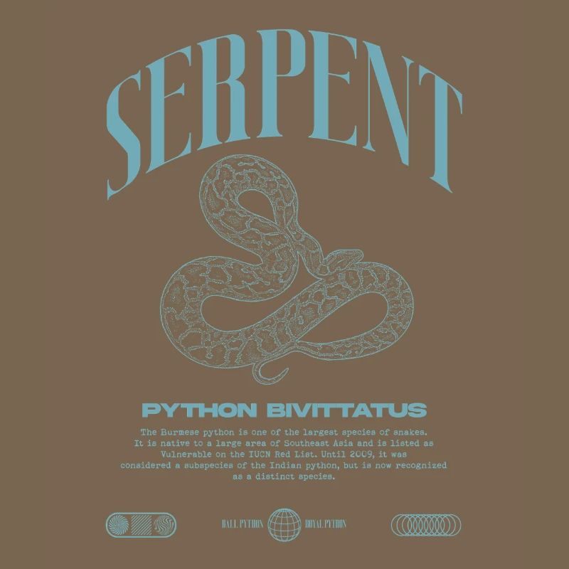 Burmese Python Modern Reptile Keeper Streetwear