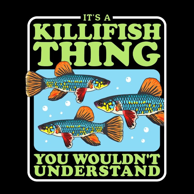 Killifish Fish Egg-laying Toothcarp Gifts