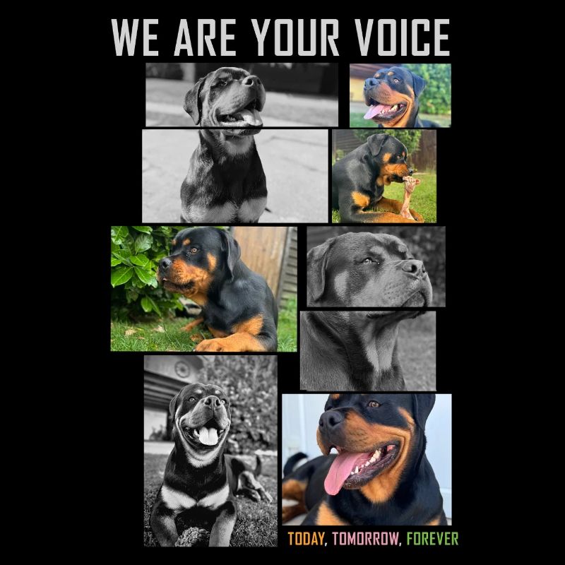 Collage de voix de chien